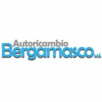 Autoricambio Bergamasco