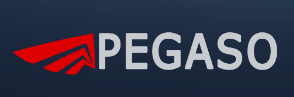 Pegaso Servizi